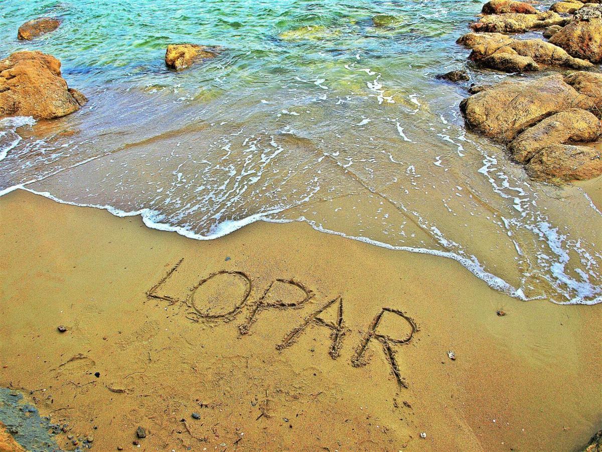 Sandra -Lopar Luaran gambar